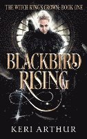 bokomslag Blackbird Rising
