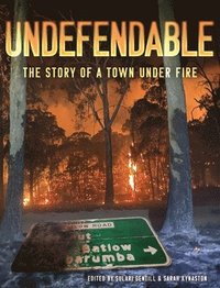 bokomslag Undefendable: The Story of a Town Under Fire