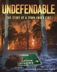 bokomslag Undefendable: The Story of a Town Under Fire