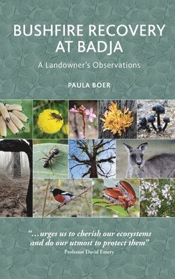 Bushfire Recovery at Badja