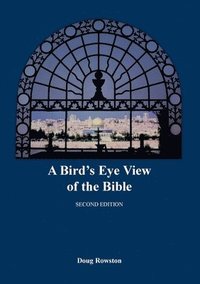 bokomslag A Bird's Eye View of the Bible