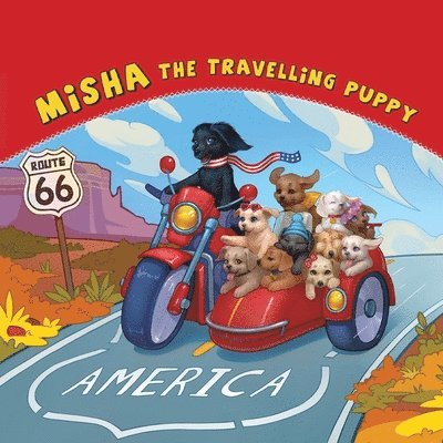 Misha the Travelling Puppy America 1