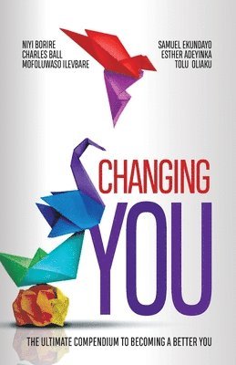 Niyi Borire, Mofoluwaso Ilevbare, Charles Ball - Changing You, Häftad