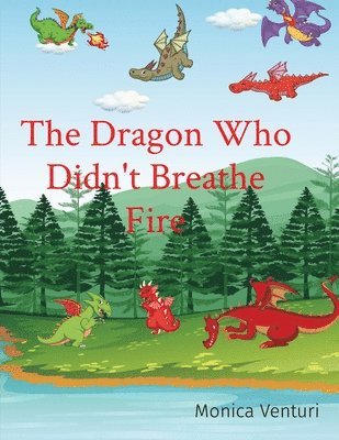 bokomslag The Dragon Who Didn't Breathe Fire