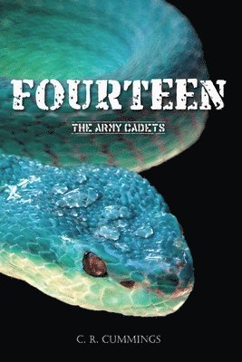 Christopher Cummings - Fourteen, Häftad