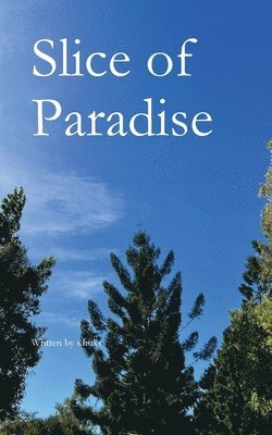 bokomslag Slice of Paradise