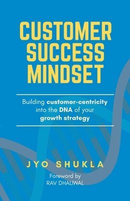 bokomslag Customer Success Mindset