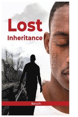 bokomslag Lost Inheritance