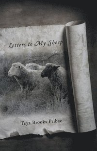 bokomslag Letters to My Sheep