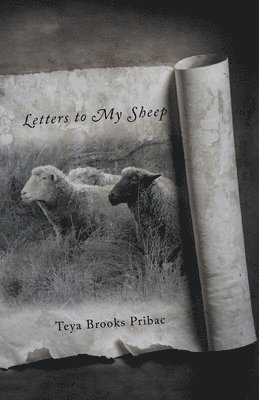 Teya Brooks Pribac - Letters to My Sheep, Häftad