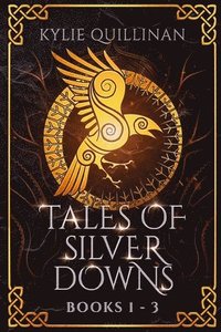 bokomslag Tales of Silver Downs