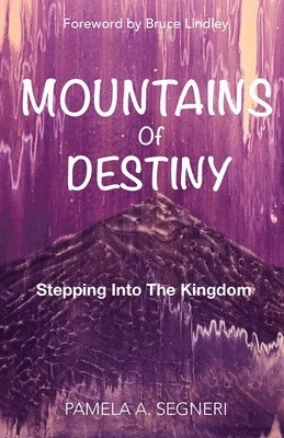 bokomslag Mountains Of Destiny - Stepping Into The Kingdom