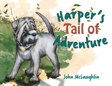 John McLaughlin - Harper's Tail of Adventure, Häftad