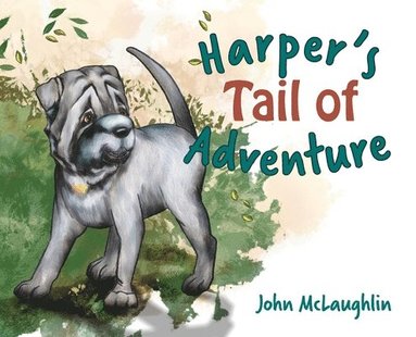 John McLaughlin - Harper's Tail of Adventure, Inbunden