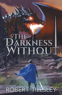 Robert Tillsley - Darkness Without, Häftad