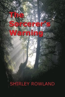 The Sorcerer's Warning 1