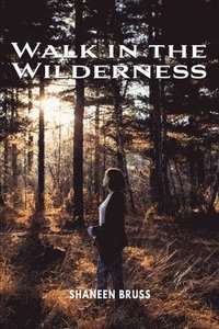bokomslag Walk in the Wilderness