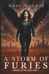 bokomslag Storm of Furies
