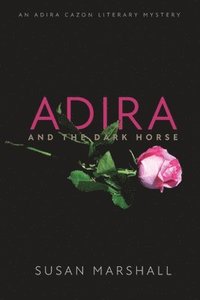 bokomslag Adira and the Dark Horse
