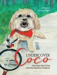 bokomslag Undercover Coco