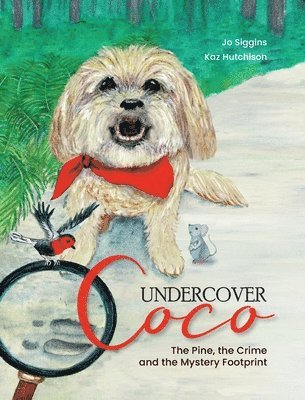 bokomslag Undercover Coco