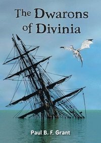 bokomslag The Dwarons of Divinia