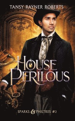 Tansy Rayner Roberts - House Perilous, Häftad
