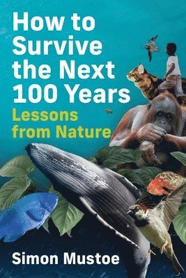 bokomslag How to Survive the Next 100 Years