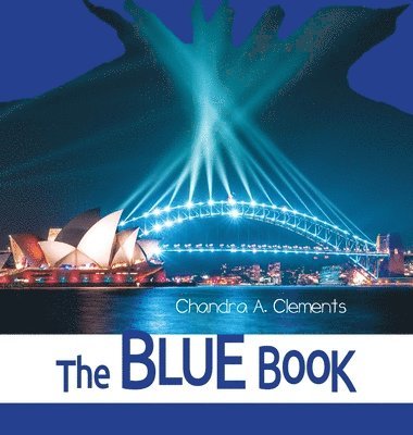 bokomslag The Blue Book