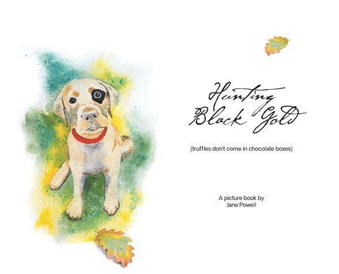 Hunting Black Gold (truffles don't come in chocolate boxes) 1