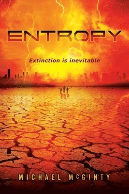 Entropy 1