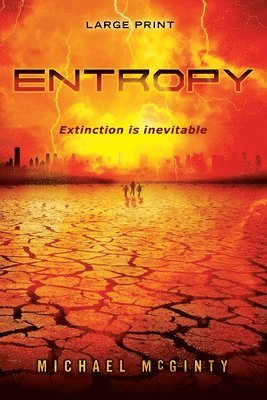 Entropy 1