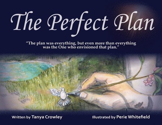 Tanya Crowley - Perfect Plan, Häftad