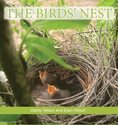 The Birds' Nest 1
