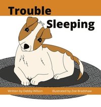 bokomslag Trouble Sleeping