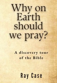 bokomslag Why on Earth Should We Pray?
