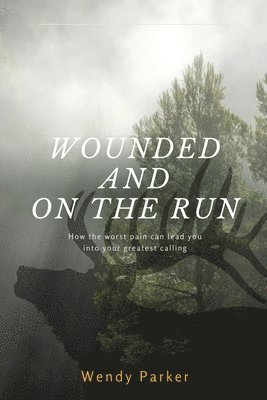 Wounded and On the Run