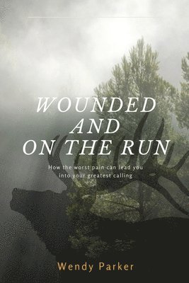 Wounded and On the Run 1