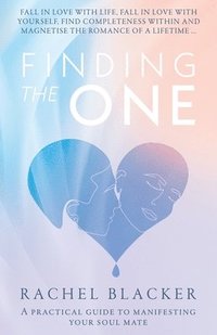 bokomslag Finding the One