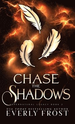 Chase the Shadows 1