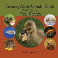 bokomslag Learning About Animals- Greek