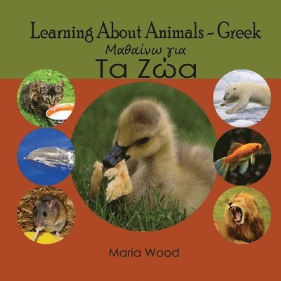 Learning About Animals- Greek 1