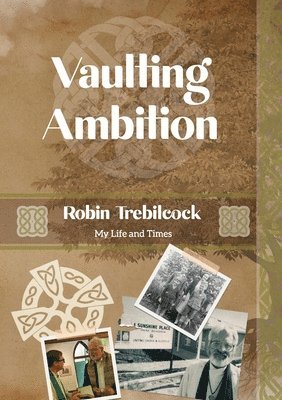 bokomslag Vaulting Ambition