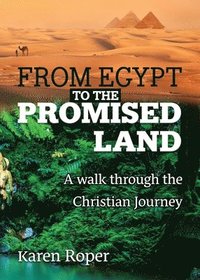 bokomslag From Egypt to the Promised Land