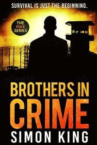 bokomslag Brothers in Crime