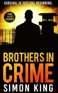 bokomslag Brothers in Crime
