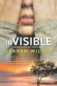 bokomslag Invisible