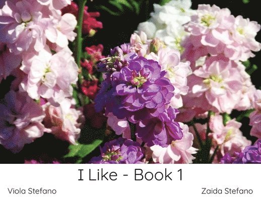 I Like - Book 1 1