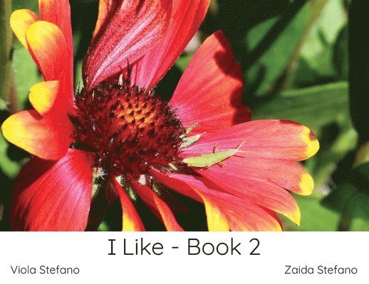I Like - Book 2