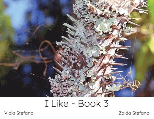 I Like - Book 3 1